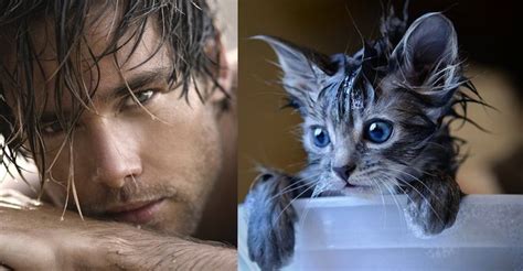 hilarious photos of sexy men and adorable cats in similar poses my modern met
