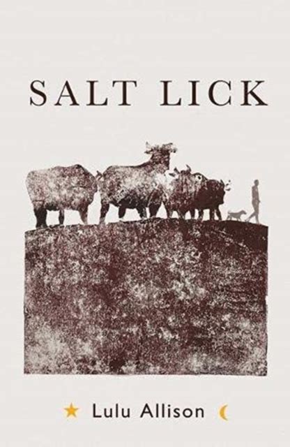 Salt Lick Lulu Allison London Review Bookshop