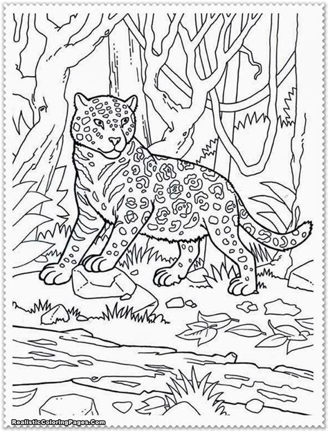 jungle animals coloring pages  coloring home