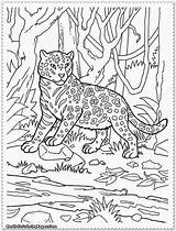 Jungle Coloring Pages Animal Realistic Scene Animals Color Printable Kids Clip Safari Print Library Clipart Popular Getcolorings Children Coloringhome sketch template