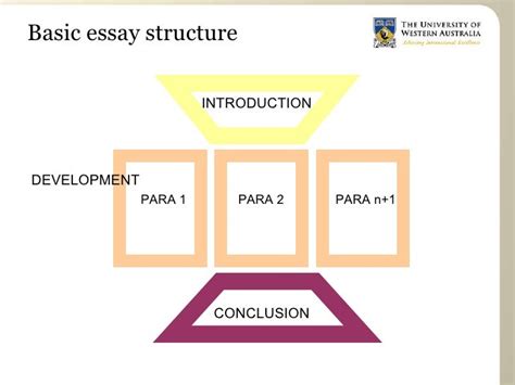 standard essay structure essay format     proper