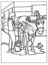Paarden Kleurplaten Paard Dieren Pferde Springen Uitprinten Dressuur Animaatjes Kuda Equine Mewarnai Animasi Cavalli Afgespoeld Downloaden Stable Veulentjes Honden Bewegende sketch template