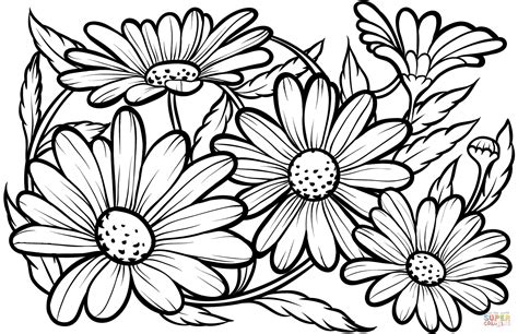 daisies coloring page  printable coloring pages flower coloring