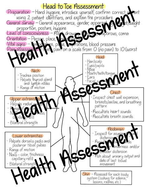 head toe assessment cheat sheet