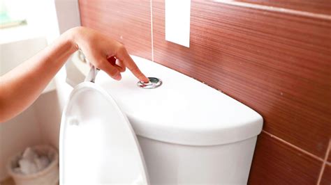 types  toilet flush systems lucid plumbing