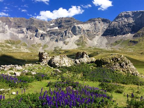 visit pyrenees national park  france expedia