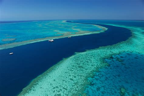 australia pledges  million  great barrier reef sbs news