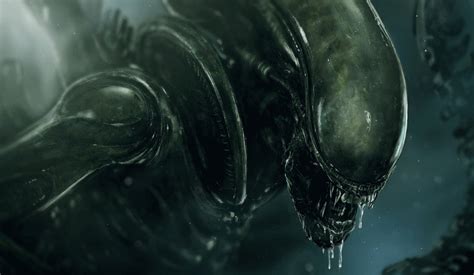fans petition  save neill blomkamps alien  alien   news