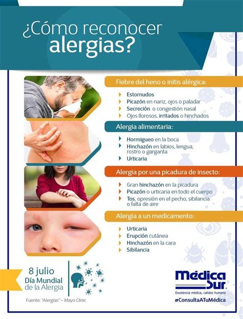 reconocer alergias síntomas y tipos de alergia alergias salud