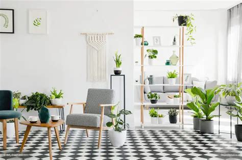 fabulous indoor garden ideas  small spaces  condos
