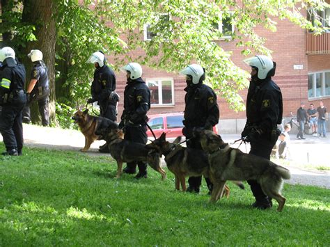 fileswedish police dogsjpg wikimedia commons