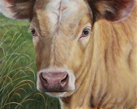spring calf oil  canvas     oil  canvas art