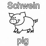 Schwein Englisch Pig Malvorlage Ausmalbild Kostenlose Schweine Ausmalen Zeichnen Schule sketch template