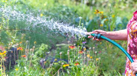 How To Water Your Garden Plants While You Re Away