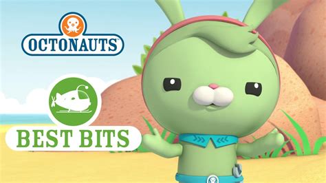 octonauts tweaks  bits youtube