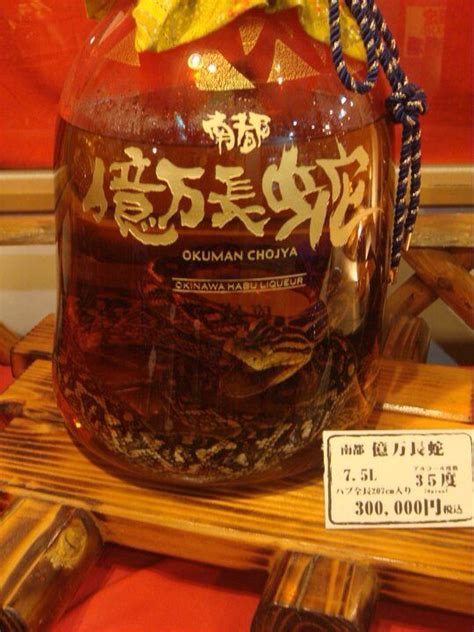 habu sake poison snake japanese wine japanese wine okinawa poison
