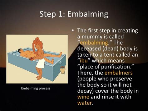 😀 Stages Of Mummification What Are The 5 Stages Of