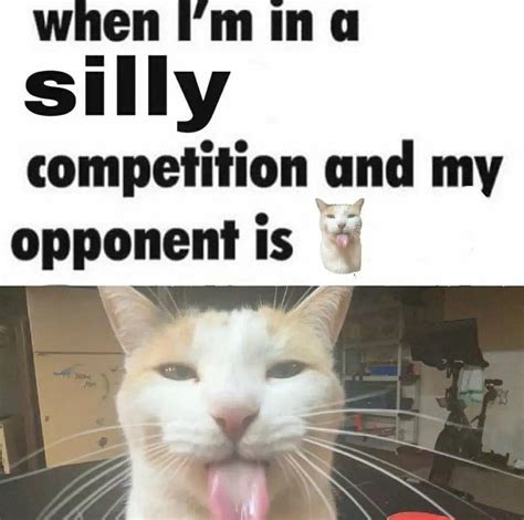 im   silly competition   opponent  bleh cat silly