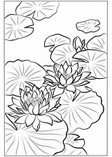 Lotus Nishimura Hodo Fiori Loto Blossoms sketch template