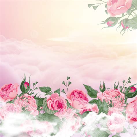 Flower White Clouds Pink Rose Bouquet Buds Pink Background Material