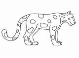 Jaguar Coloring Animal Kids Animals Pages Rainforest Easy Drawing Printable Outline Cartoon Realistic Drawings Jungle Grassland Draw Sheets Gambar Color sketch template