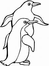 Pinguin Mewarnai Paud Tk Terima Bermanfaat Semoga Kasih Berkunjung sketch template