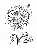 Sunflower Drawing Simple Flower Kid Getdrawings sketch template