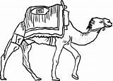Camel Drawing Clipart Caravan Stock Kamel Schwarz Getdrawings Illustration Vector Zeichnungen Clipartmag Backround Gemerkt Von sketch template
