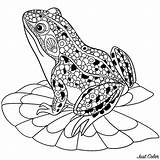 Mandalas Ranas Rana Frogs Justcolor sketch template