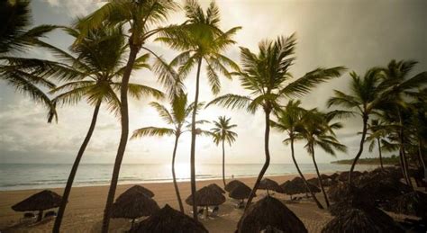 hotel tropical princess beach resort spa punta cana atrapalocl