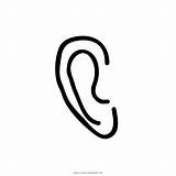 Oreja Orejas Ear Auricle Ultracoloringpages Pngegg sketch template