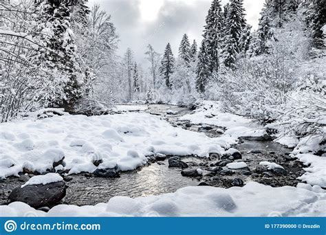 White Scene Of Winter Beauty Snow Forest Inside The River
