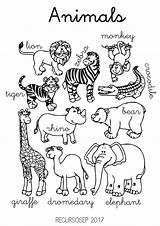 Zoo Colouring Actividad Recursosep Animals2 Drawings sketch template