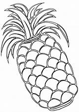 Pineapple Coloring Pages Print sketch template