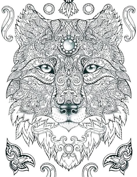 cute animal colouring pages  adults kathleen browns toddler