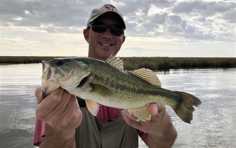 Spotted Bass Vs Largemouth Bass All You Need To Know