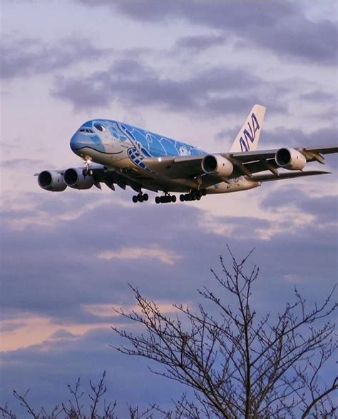 Airbus A380 Ana à Tokyo Narita Japon Izira Gogo A380 A380800 Flyana