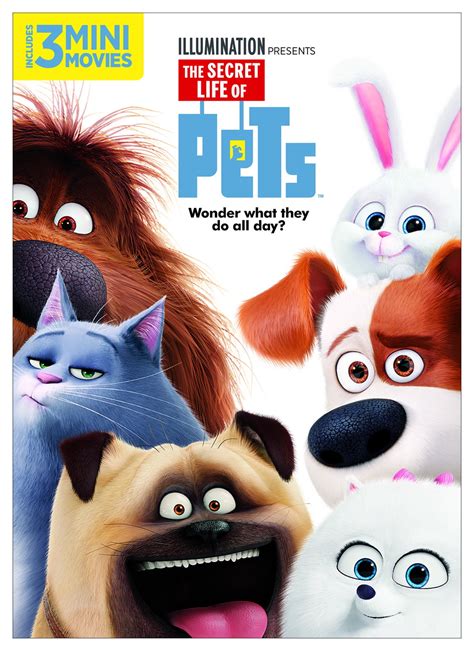 secret life  pets dvd walmartcom walmartcom