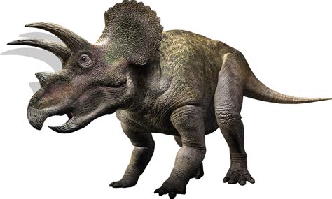 triceratops walking  dinosaurs wiki fandom powered  wikia