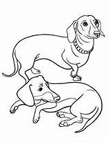 Weiner Coloring Dog Printable Getcolorings Dachshund Print Color sketch template