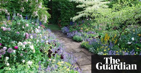 Gardening For Beginners The Cheats Guide To Herbaceous Borders Life