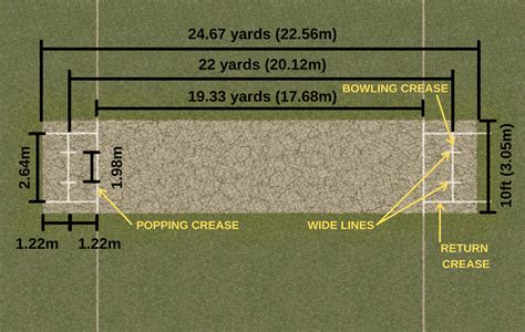 cricket pitch measurements cricket pitch length  feet crickwave