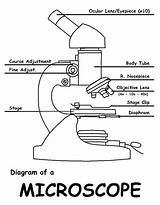 Microscope Biology Labeled Labelled Algunproblemita sketch template
