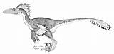 Troodon Dinosaurs Popular sketch template