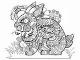 Colorare Coniglio Adulti Vettore Coniglietto Degli Zentangle sketch template