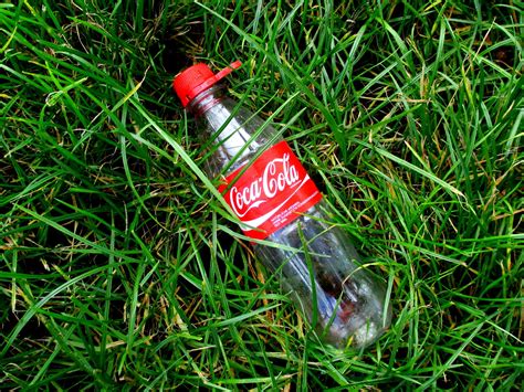 gratis afbeeldingen gras fabriek gazon groen rood cokes bodem limonade drinken fles