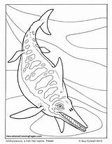 Dinosaurs Ichthyosaurus Plesiosaur Elasmosaurus Colouringpages Colouring Ichthyosaurs Colorare Mammals sketch template