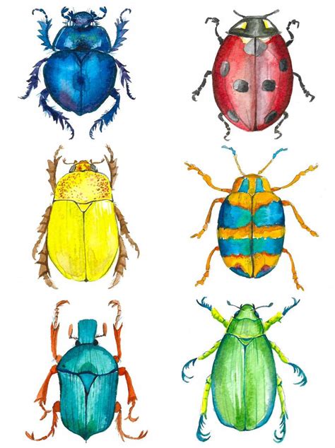 watercolor bugs collection painting  magdalena zolnierowicz saatchi art