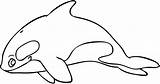 Orcas Orca sketch template