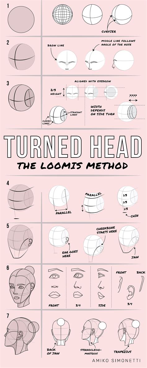 ultimate guide  drawing  turned head loomis method step